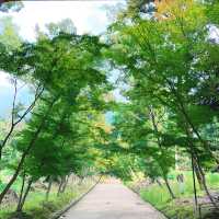 【京都】豊臣秀吉の豪華絢爛ぶりを感じる