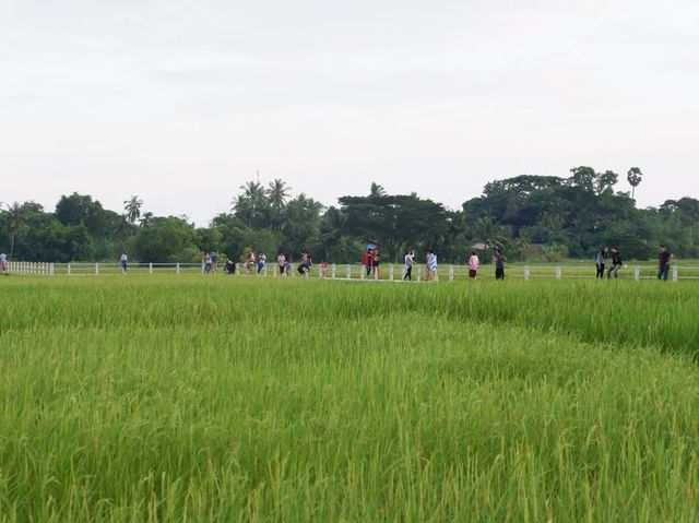 สะพานขัวน้อย บ้านชีทวน 🌾 @อุบลราชธานี