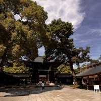 Fall & Meiji Jingu