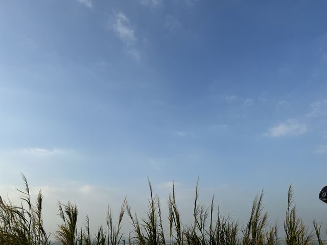 大澳虎山日落🌄
