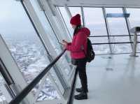 มาชิลชมวิวสวนมุมสูงจาก Goryokaku Tower