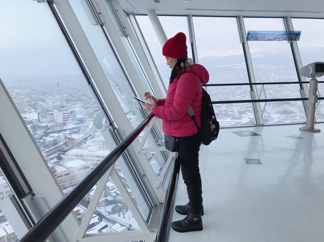มาชิลชมวิวสวนมุมสูงจาก Goryokaku Tower