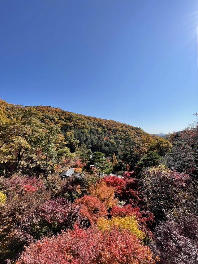 가을 정취 느끼러 곤지암 화담숲🍁