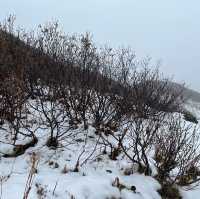 11月的雪山