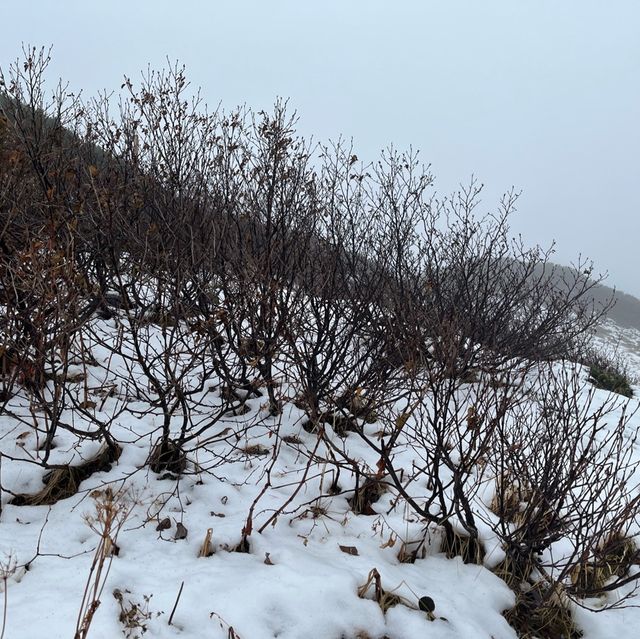 11月的雪山