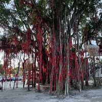 #Pantai Redang熱浪沙灘#許願樹#日落#潮退#海鮮
