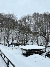 눈오는 날 더 매력적인 후키다시 공원 🏞️