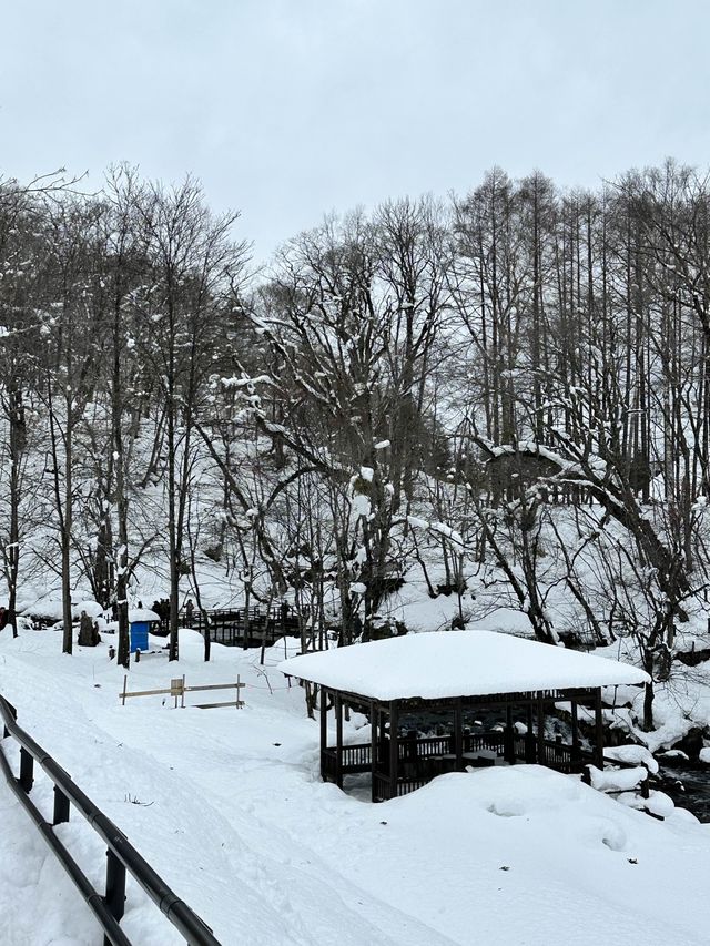 눈오는 날 더 매력적인 후키다시 공원 🏞️