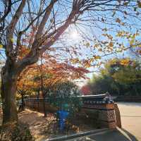 龍頭山公園喝釜山啤酒