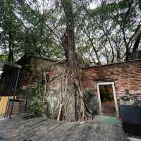 เที่ยวไถหนาน   Anping Tree House