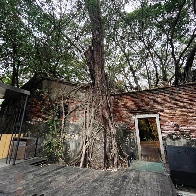 เที่ยวไถหนาน   Anping Tree House