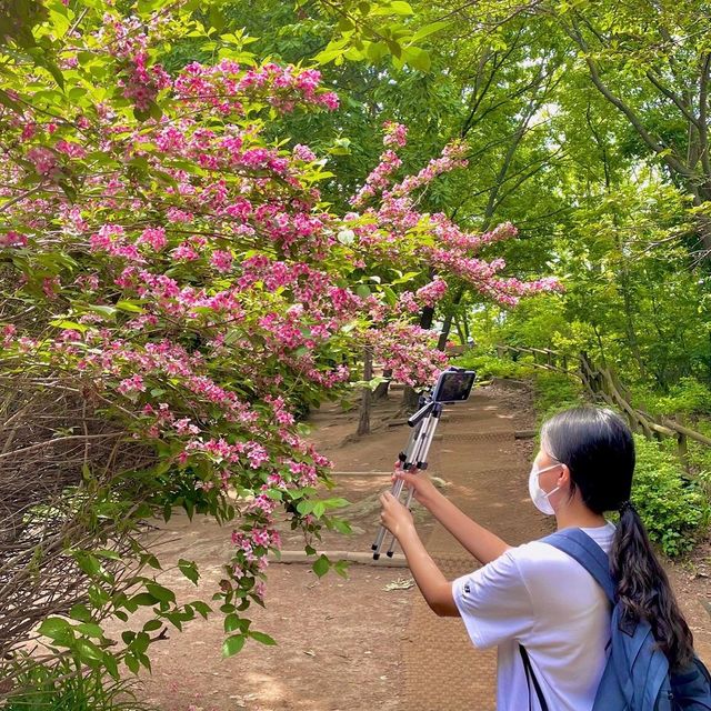 [인천] 청량산 🏔 