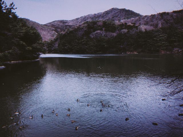 부산 어린이대공원