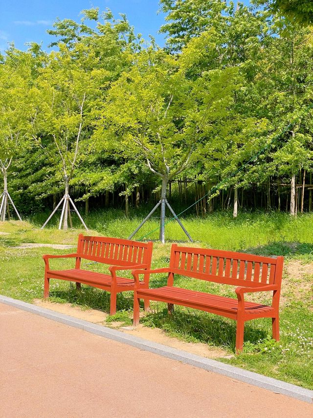 부산 봄나들이 가기 좋은 해운대 수목원 🌿