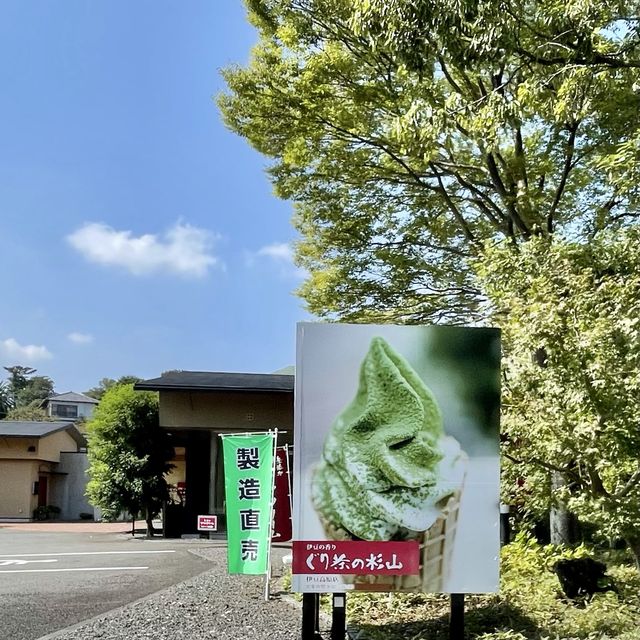 杉山のぐり茶か、市川のぐり茶か