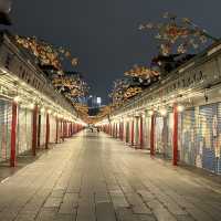 【東京】夜の浅草寺
