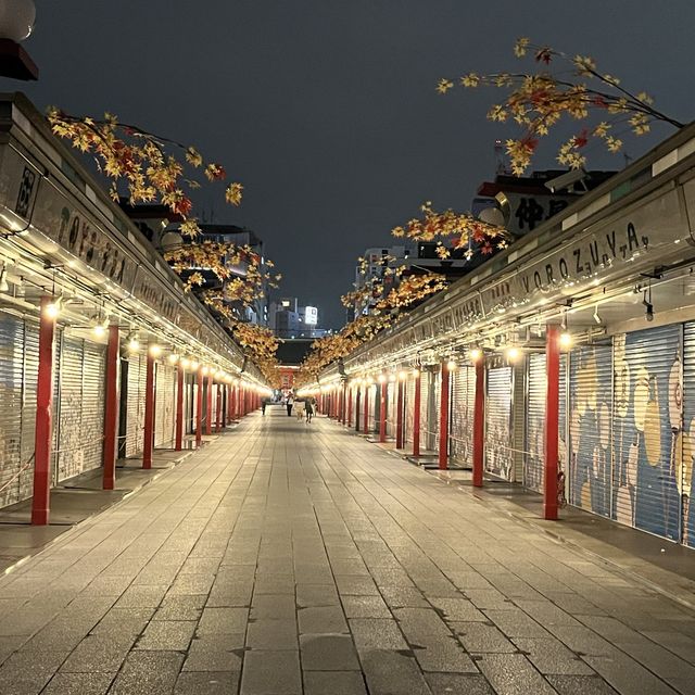 【東京】夜の浅草寺