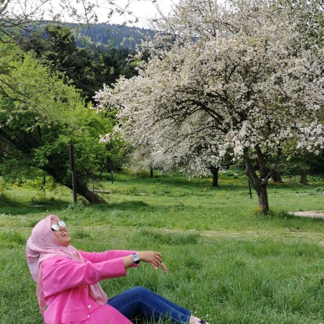 Beautiful Turkey