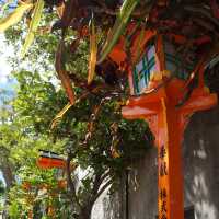 【沖繩 那霸】沖繩必去！懸崖上的神社⛩️
