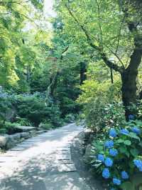 【東京都】氣をととえましょ　高幡不動尊🙏✨
