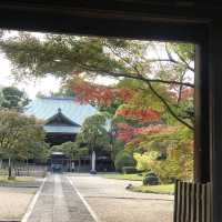 ชมใบไม้เปลี่ยนสีที่วัดtozenji🍁🍁🍁