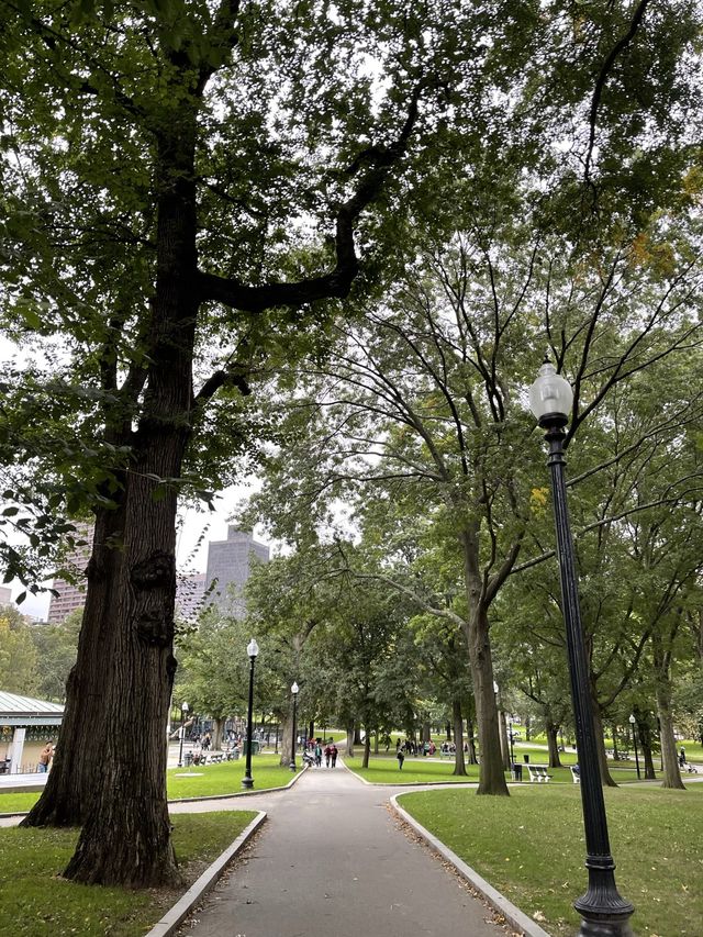 보스턴 코먼 공원 🌲 도심 속 피크닉 명소