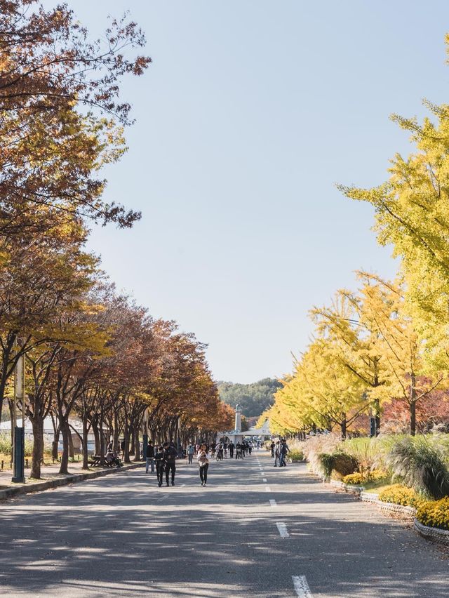 지금 가장 이쁜 인천대공원🍁