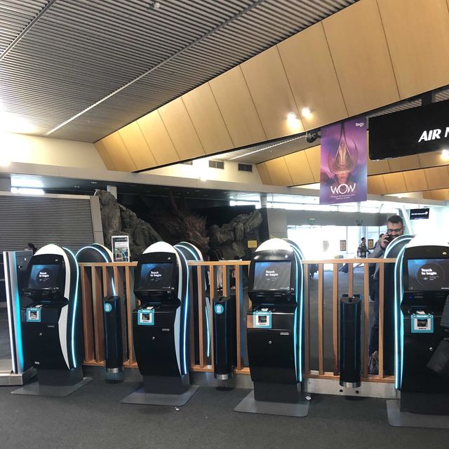 SO MANY OPTIONS AT WELLINGTON AIRPORT!!