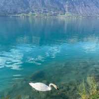 Lake Brienz, Spectacular breathtaking view 