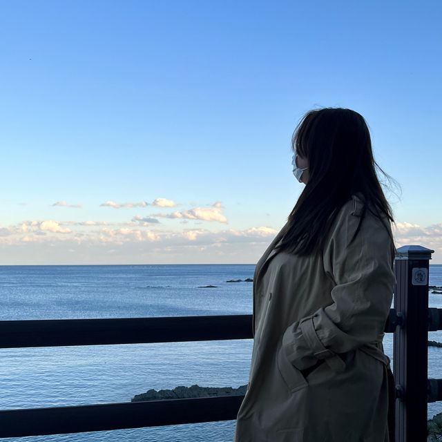 오션뷰가 이쁜 포항카페 ‘카페파도’