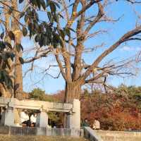 Autum in Hyeonchungsa