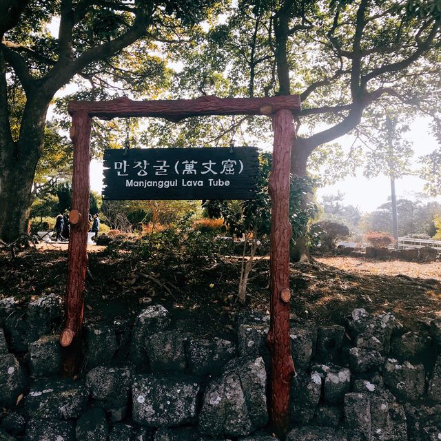 겨울 제주도 여행(사실상 먹으러 간..) 