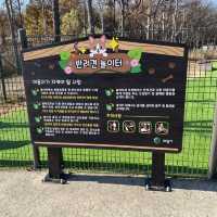 의왕 왕송호수 무료 반려견놀이터