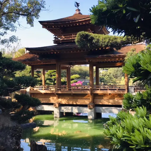 Best of Nan Lian Garden & Chi Lin Nunnery