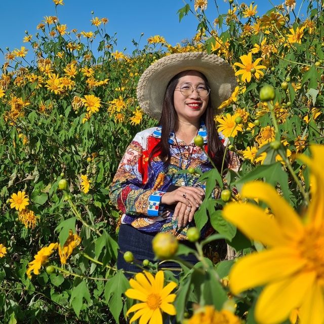 🧚🏻‍♀️  ทุ่งดอกบัวตอง กฟผ.แม่เมาะ 🌼🌼🌼