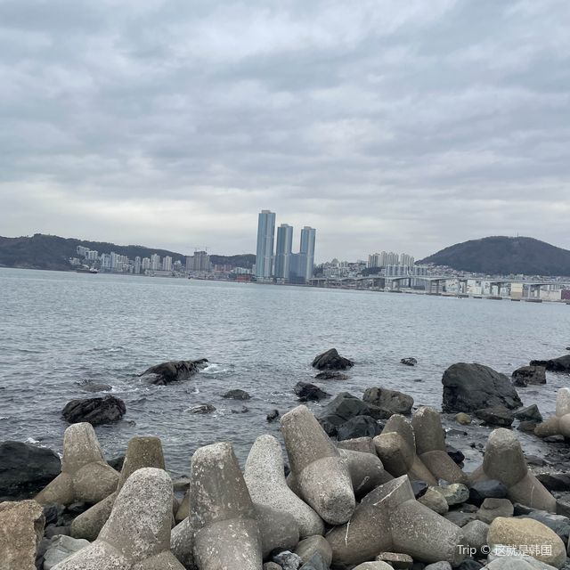부산 터널 포토존 💝
