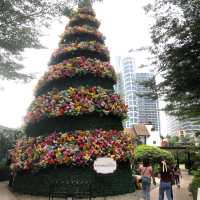 Season Feels at Eastwood City