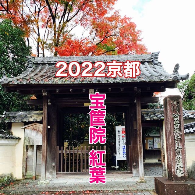 京都紅葉2022 宝筐院の素晴らしい紅葉