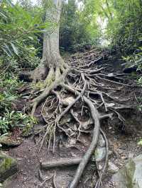 Chimney Top Trail - Smoky National Park