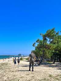 강릉 조용하고 청량한 바다 “송정해수욕장”🌊