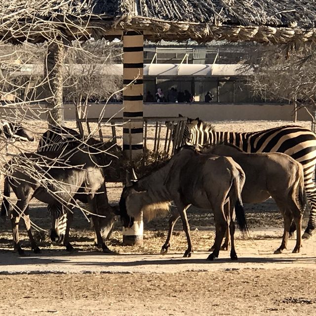 Al Areen Wildlife Park & Reserve