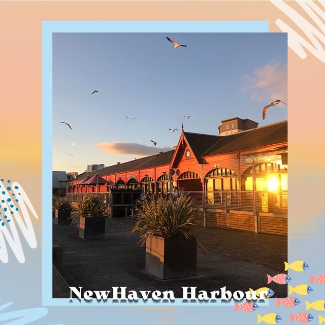 愛丁堡古老海港Newhaven Harbour風光如畫