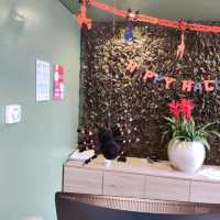 Halloween Decorations 