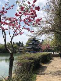 China’s best ancient town- Lijiang