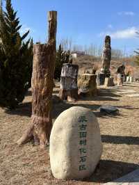 국가별 나무화석들로 꾸며진 공원, 장하 국제 수목 화석림.