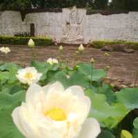 Awesome Natural Beauty at the Botanical Park