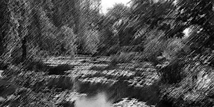 Art in the Garden Workshop Sketching Nature with pencil and paper | Hawkesbury EarthCare Centre, Campus Drive, Richmond NSW, Australia