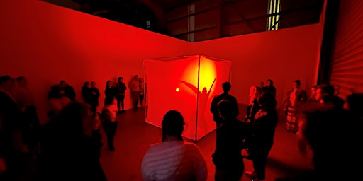 Shadow Box | Multi-Arts Pavilion (MAP mima) Lake Macquarie