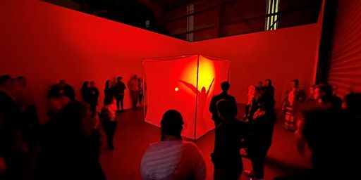 Shadow Box | Multi-Arts Pavilion (MAP mima) Lake Macquarie