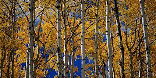 Fall Equinox Frolic: Women's Workshop & Trail Run/Hike | Beaver Brook Watershed Trailhead